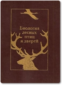 Биология лесных птиц и зверей - Новиков Г. А.