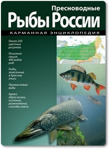 Пресноводные рыбы России: Карманная энциклопедия