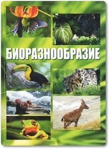 Биоразнообразие - Кабельчук Б. В.