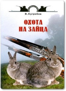 Охота на зайца - Сугробов В. Ю.