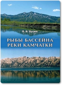 Рыбы бассейна реки Камчатки - Бугаев В. Ф.