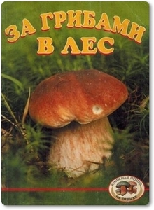 За грибами в лес - Андреева М. Ф.
