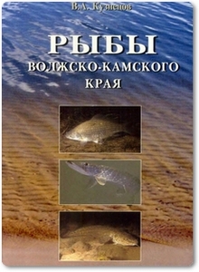 Рыбы Волжско-Камского края - Кузнецов В. А.