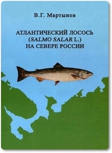 Атлантический лосось на севере России - Мартынов В. Г.