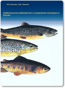 Любительское рыболовство и сохранение лососевых в России - Зиничев В. В.