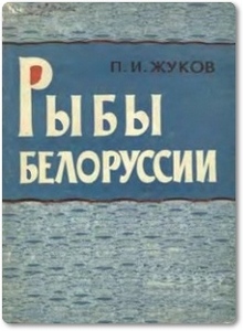 Рыбы Белоруссии - Жуков П. И.