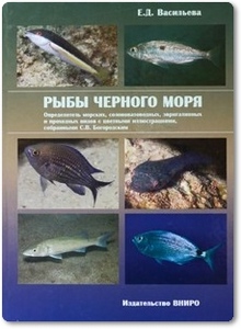 Рыбы Черного моря - Васильева Е. Д.