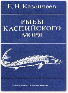 Рыбы Каспийского моря - Казанчеев Е. Н.
