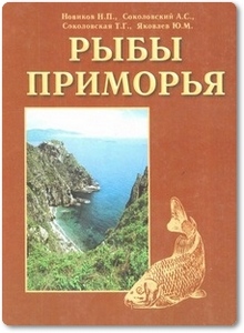 Рыбы Приморья - Новиков Н. П.