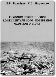 Тихоокеанские лососи континентального побережья Охотского моря - Волобуев В. В.
