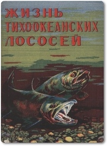 Жизнь тихоокеанских лососей - Рухлов Ф. Н.