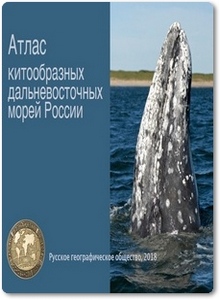 Атлас китообразных дальневосточных морей России - Бурдин А.