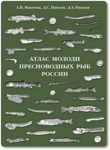 Атлас молоди пресноводных рыб России - Макеева А. П.