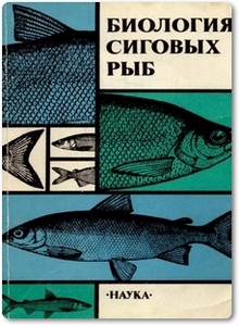 Биология сиговых рыб - Решетников Ю. С.