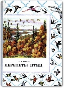 Перелеты птиц - Михеев А. В.