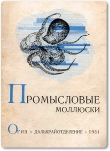 Промысловые моллюски - Базикалова А.