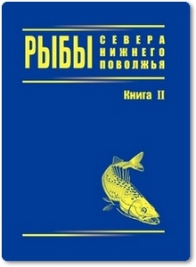 Рыбы севера Нижнего Поволжья - Завьялов Е. В.