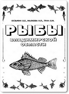 Рыбы Владимирской области - Кузьмин Л. Л.