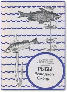 Рыбы Западной Сибири - Гундризер А. Н.