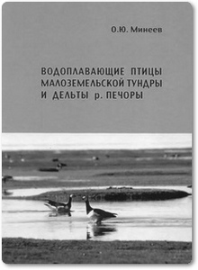 Водоплавающие птицы малоземельской тундры и дельты р. Печоры - Минеев О. Ю.