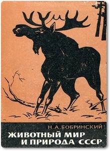 Животный мир и природа СССР - Бобринский Н. А.